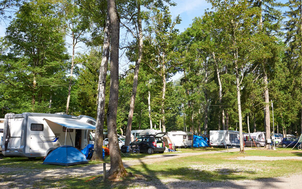 TCS Camping Gampelen-Neuenburgersee ****